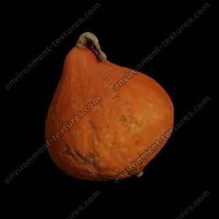 3D Scan of Pumpkin #3